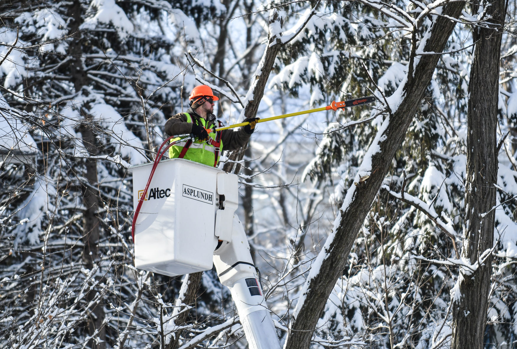 012419-mda-nws-treeguysnow-003a.jpg